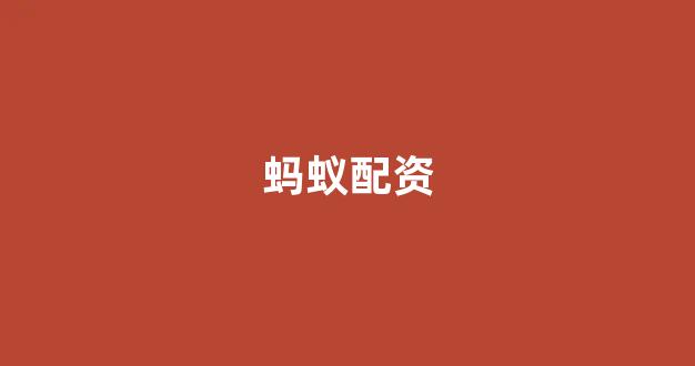 股票配资什么意思